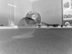 pool neg.jpg (25kb)